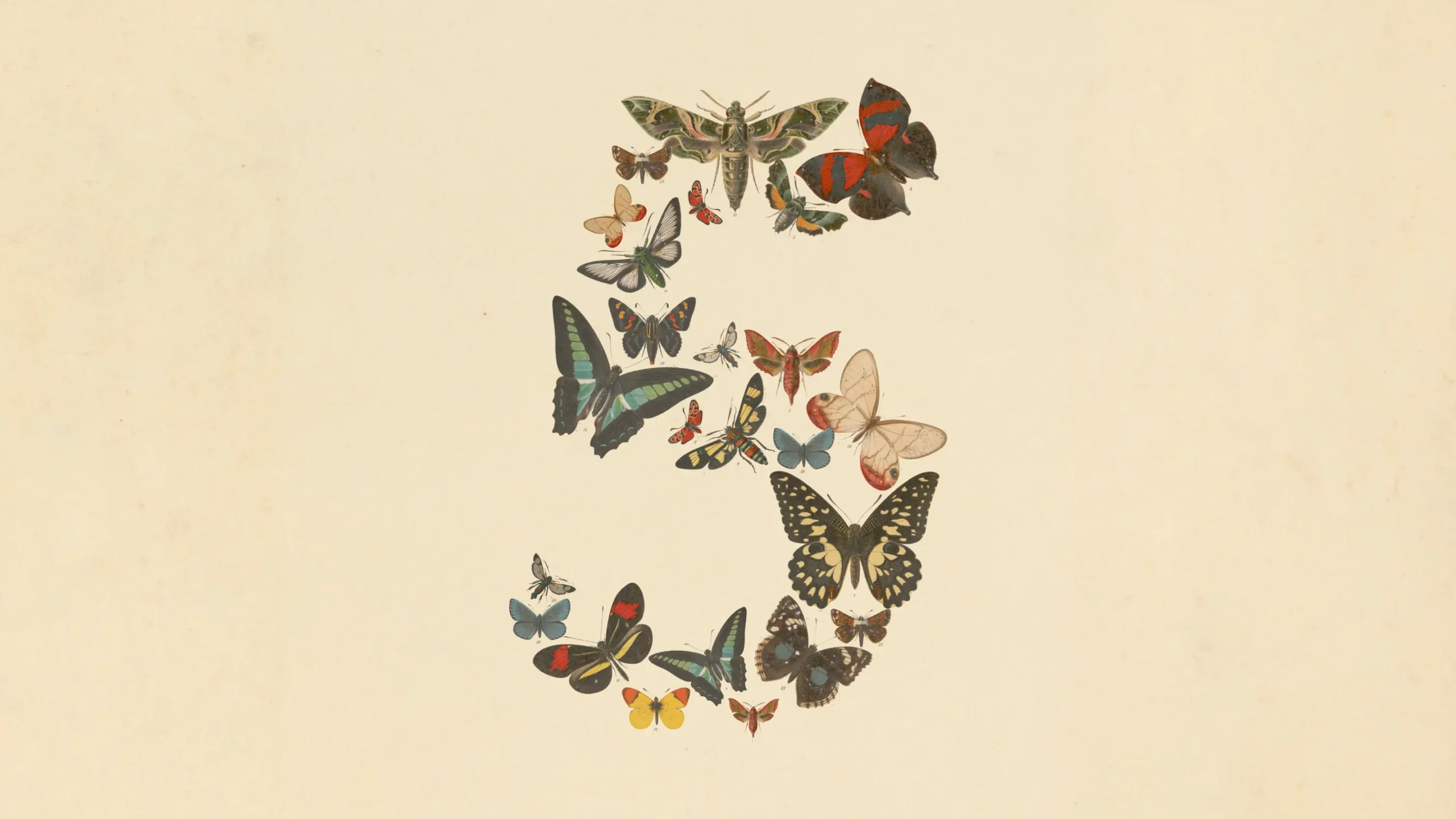 Claude Fable