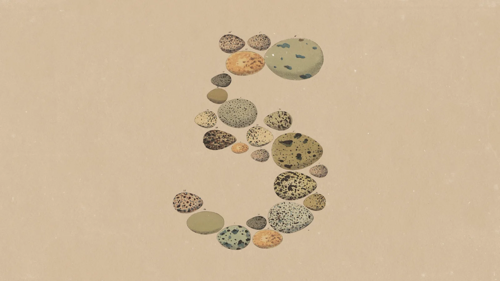 Arte oficial de lançamento do Claude Opus 5 pela Anthropic